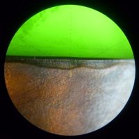 Image 31